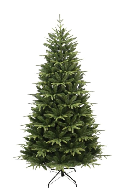 Santas Forest 61074 Cascade Noble Fir Tree, 7 ft H, Nobel Fir Family