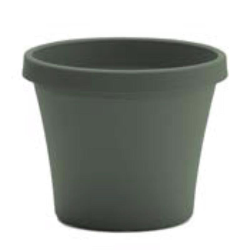 Bloem Terra 8.5 in. H X 10.75 in. W X 7.5 in. D Plastic Traditional Planter Green