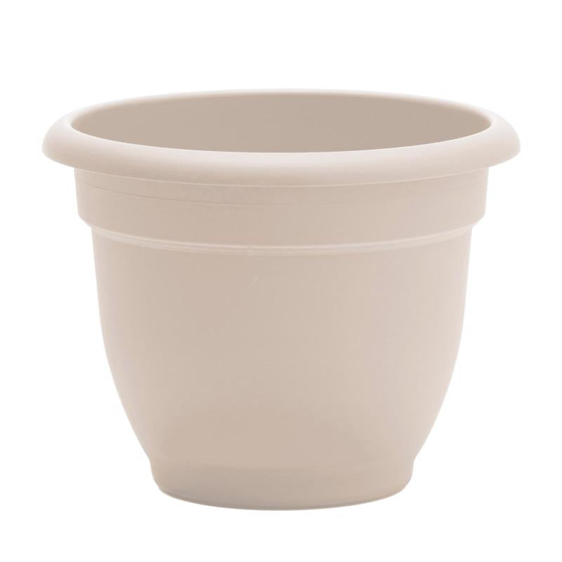 Bloem Ariana 7 in. H X 8.75 in. W X 8 in. D Plastic Traditional Planter Cream