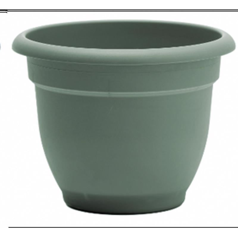 Bloem Ariana 5.25 in. H X 6.5 in. W X 6 in. D Plastic Traditional Planter Living Green