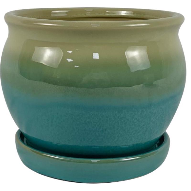 Border Concepts 7 in. H X 8.25 in. W Ceramic Archdale Planter Moss