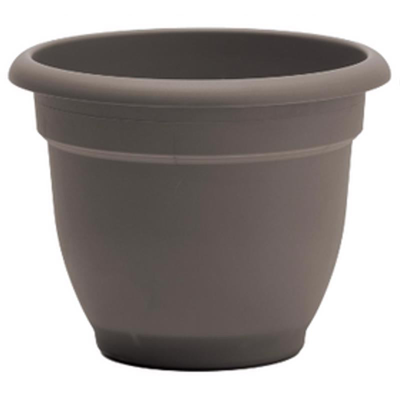 Bloem Ariana 5.25 in. H X 6.5 in. W X 6 in. D Plastic Traditional Planter Peppercorn