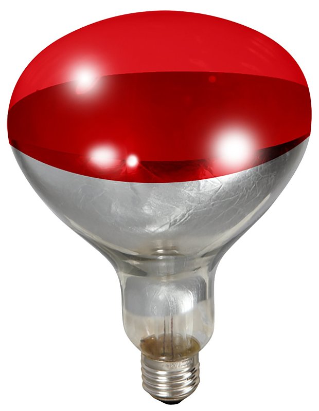 Miller 170024 Bulb, 120 V, 250 W