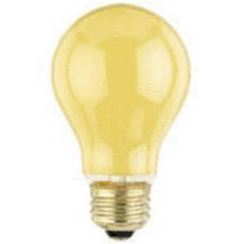 buy specialty light bulbs at cheap rate in bulk. wholesale & retail commercial lighting goods store. home décor ideas, maintenance, repair replacement parts