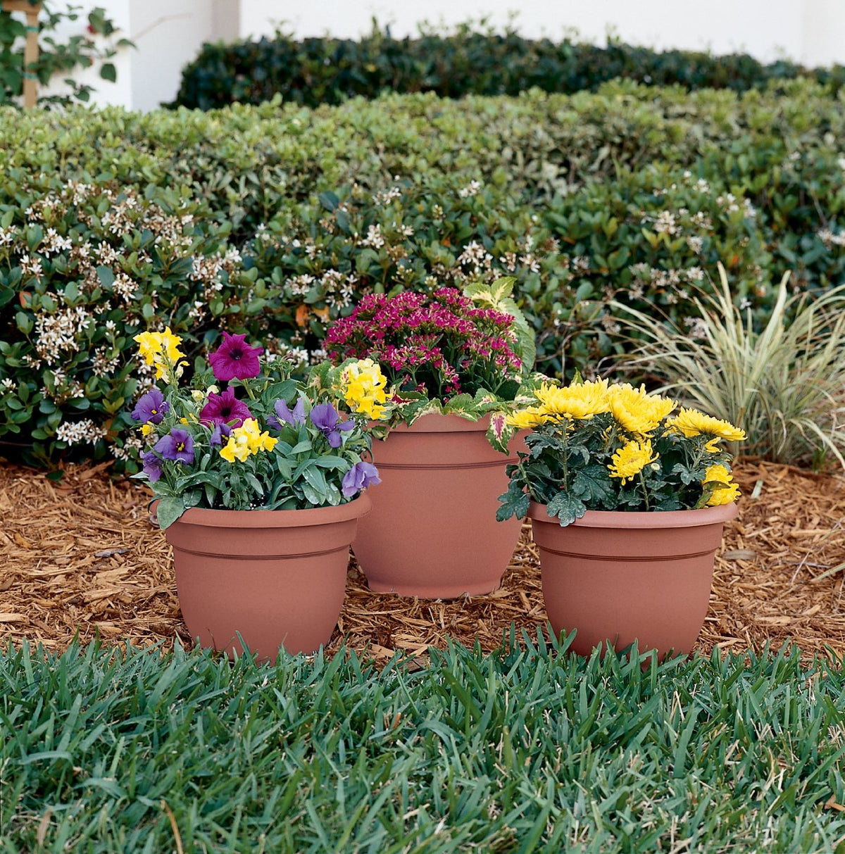 buy planters & pots at cheap rate in bulk. wholesale & retail garden maintenance tools store.