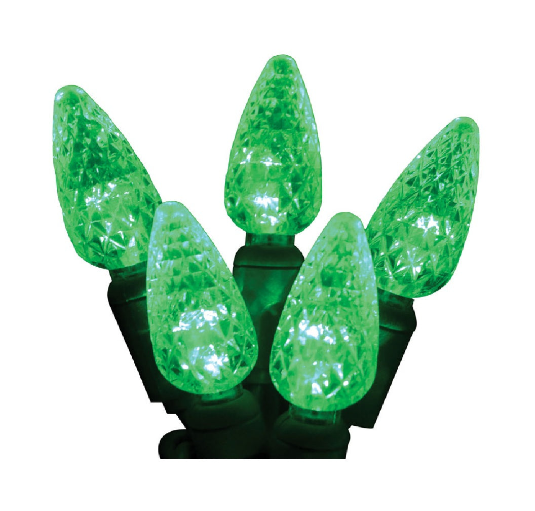 Celebrations LEDR-C650-GR6PA Platinum Christmas LED Light Set, Green