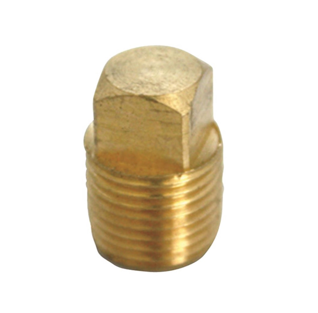 Homeplus+ 6JC120810701011 MPT Square Head Cored Plug, Brass