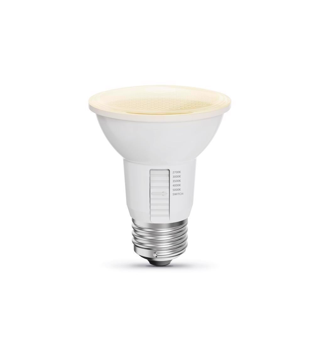 Feit Electric PAR20DM/6WYCA/2 PAR 20 LED Floodlight Bulb, Pack of 2