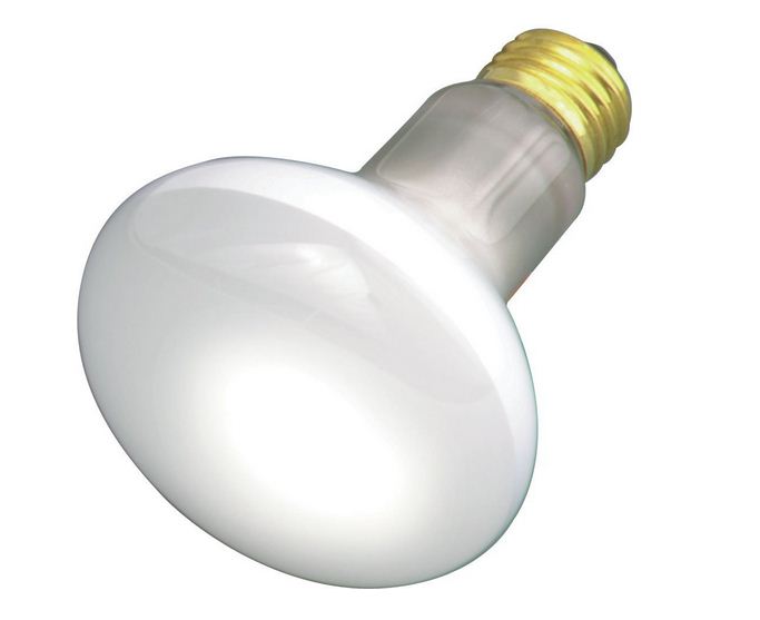 buy outdoor floodlight & spotlight light bulbs at cheap rate in bulk. wholesale & retail lighting goods & supplies store. home décor ideas, maintenance, repair replacement parts